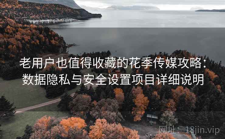 老用户也值得收藏的花季传媒攻略：数据隐私与安全设置项目详细说明