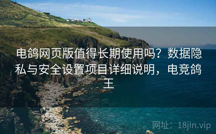 电鸽网页版值得长期使用吗？数据隐私与安全设置项目详细说明，电竞鸽王