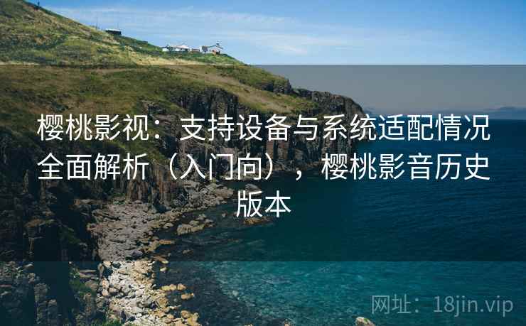 樱桃影视：支持设备与系统适配情况全面解析（入门向），樱桃影音历史版本