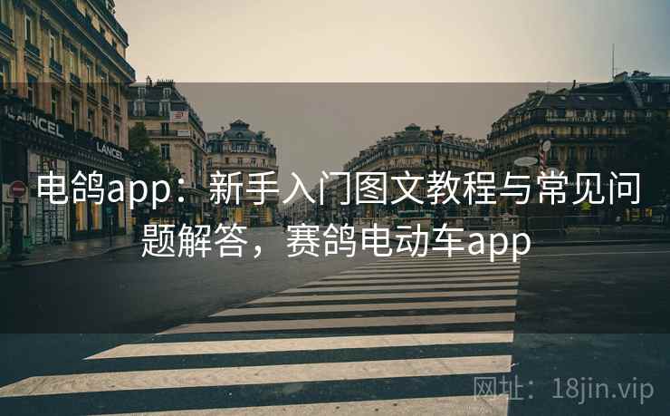 电鸽app：新手入门图文教程与常见问题解答，赛鸽电动车app