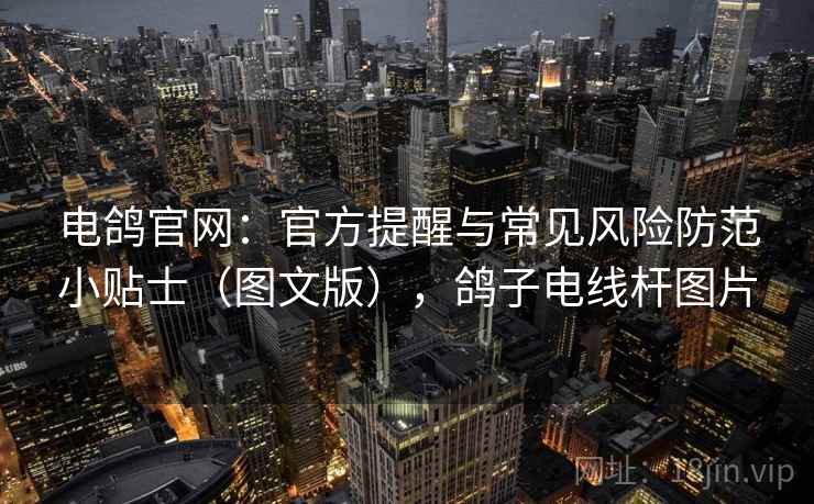 电鸽官网：官方提醒与常见风险防范小贴士（图文版），鸽子电线杆图片