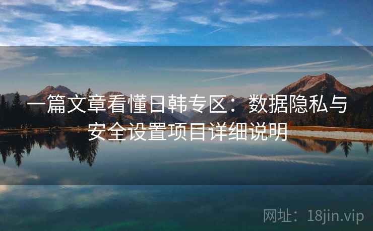 一篇文章看懂日韩专区：数据隐私与安全设置项目详细说明