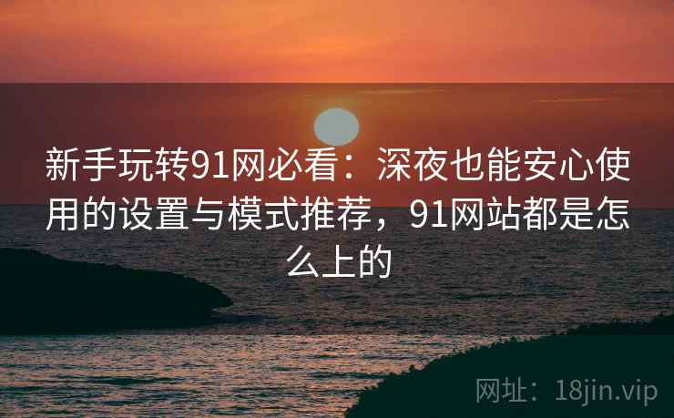 新手玩转91网必看：深夜也能安心使用的设置与模式推荐，91网站都是怎么上的